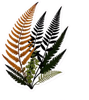Botanical Field Guide Botanical Field Guide